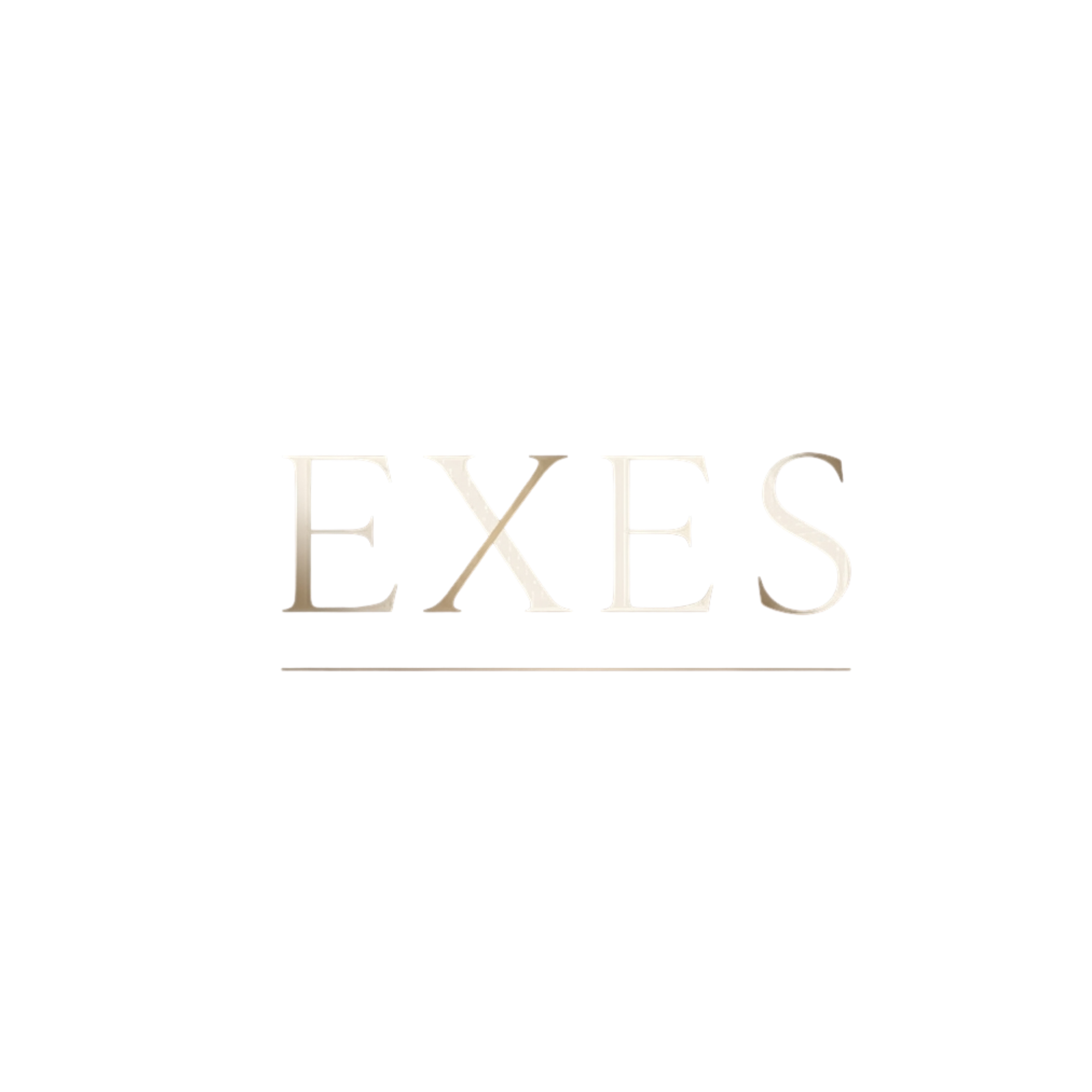 EXES INTERNATIONAL